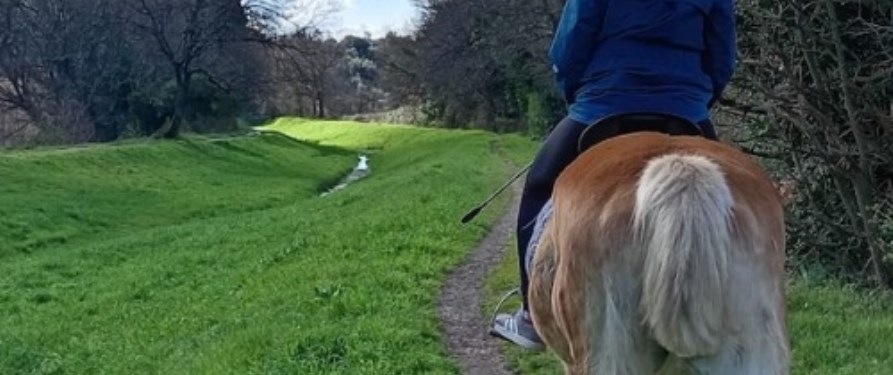 l'empatia con il proprio cavallo